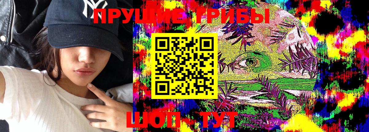 Нижний Новгород  Галлюциногенные грибы Psilocybe  Галлюциногенные грибы Magic Shrooms  магазин продажи наркотиков  Вход с VPN 